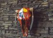 buffalo head with painted medicine wheel