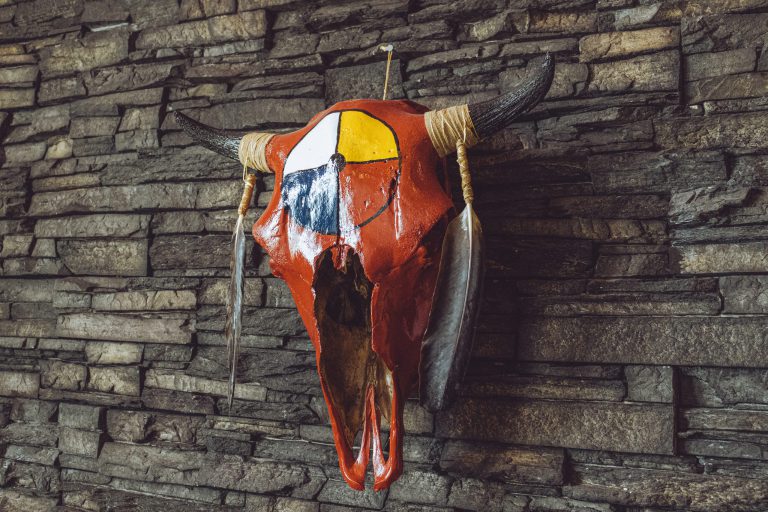 buffalo skull buffalo head with painted medicine wheel