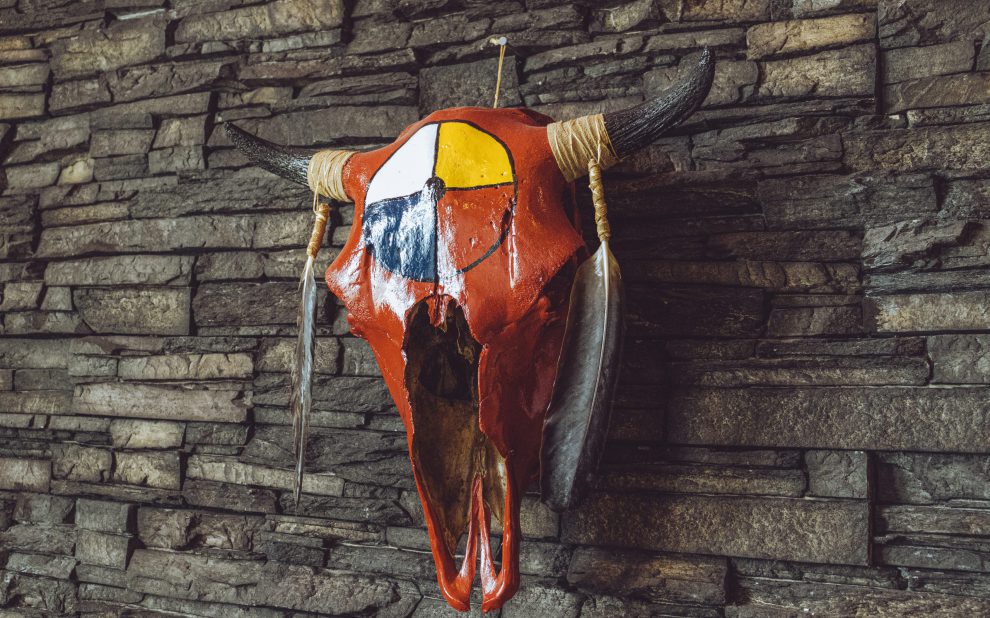buffalo head with painted medicine wheel