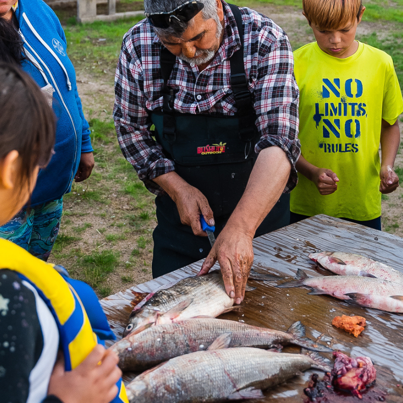 cutting fish in front of students in saskatchewan