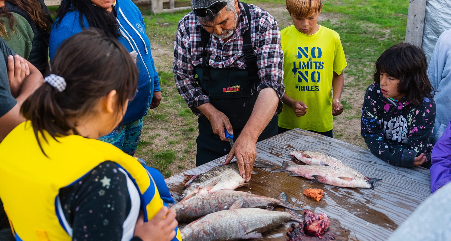 cutting fish in front of students in saskatchewan