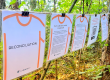 information on pages hung up on a string in a forest