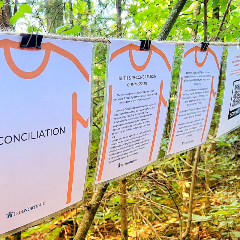 information on pages hung up on a string in a forest