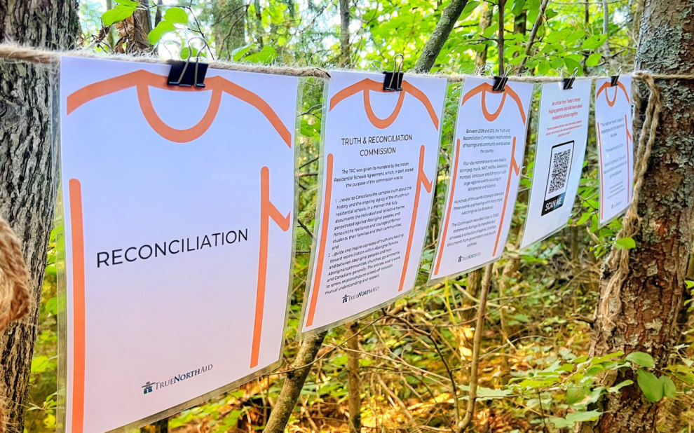 information on pages hung up on a string in a forest