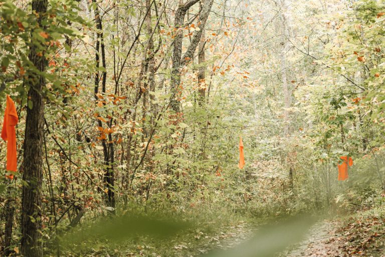 Reconciliation Walk Orange shirts hanging on branches along tree-lined path.