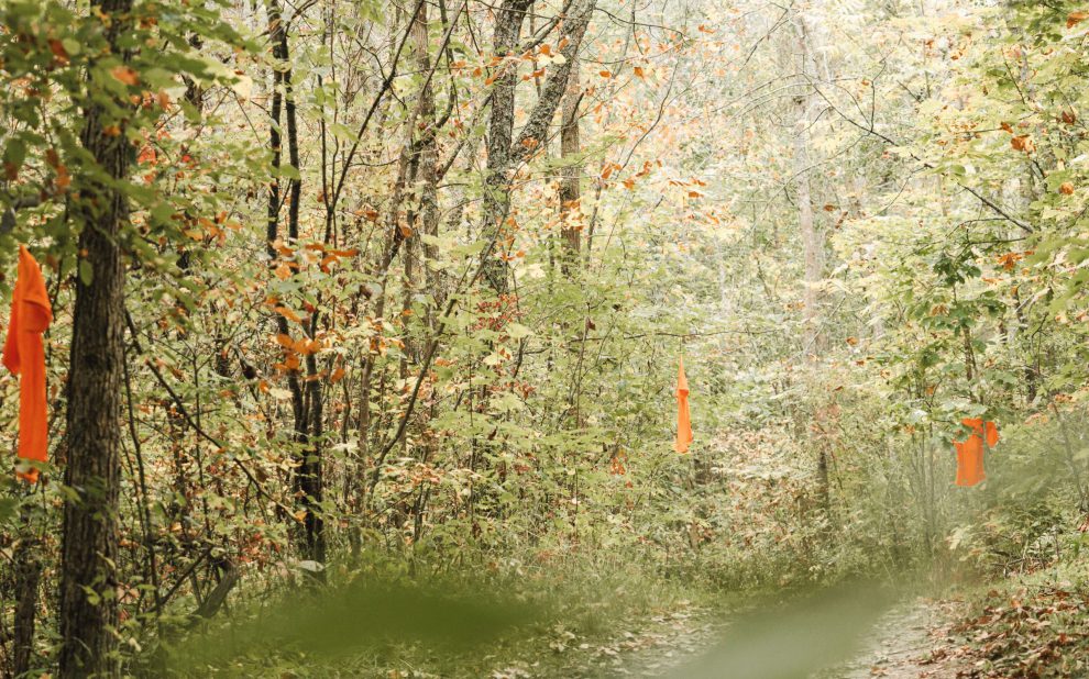 Orange shirts hanging on branches along tree-lined path.
