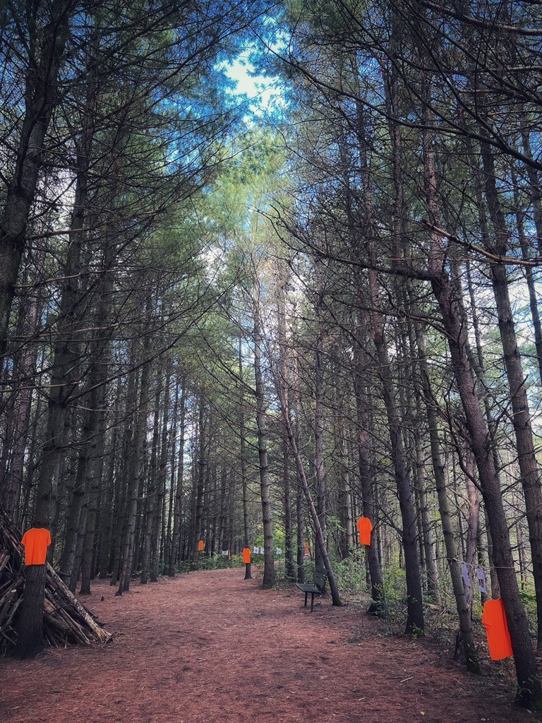 trail lined with orange shirts in trees